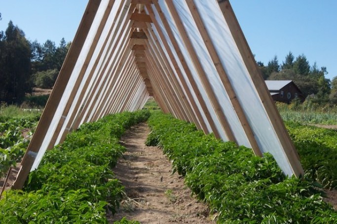 a-frame-greenhouse_built_at_french_garden_farm